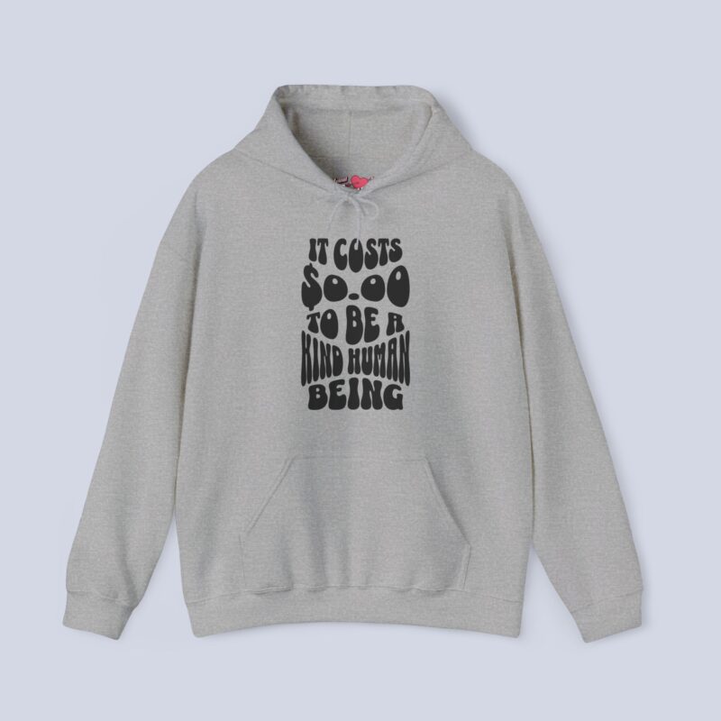 It Costs $0.00 To Be A Kind Human Being Hoodie